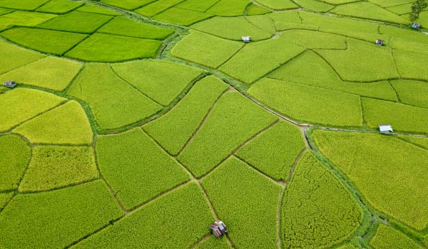 Cuándo debemos coordinar una finca registral con Catastro.