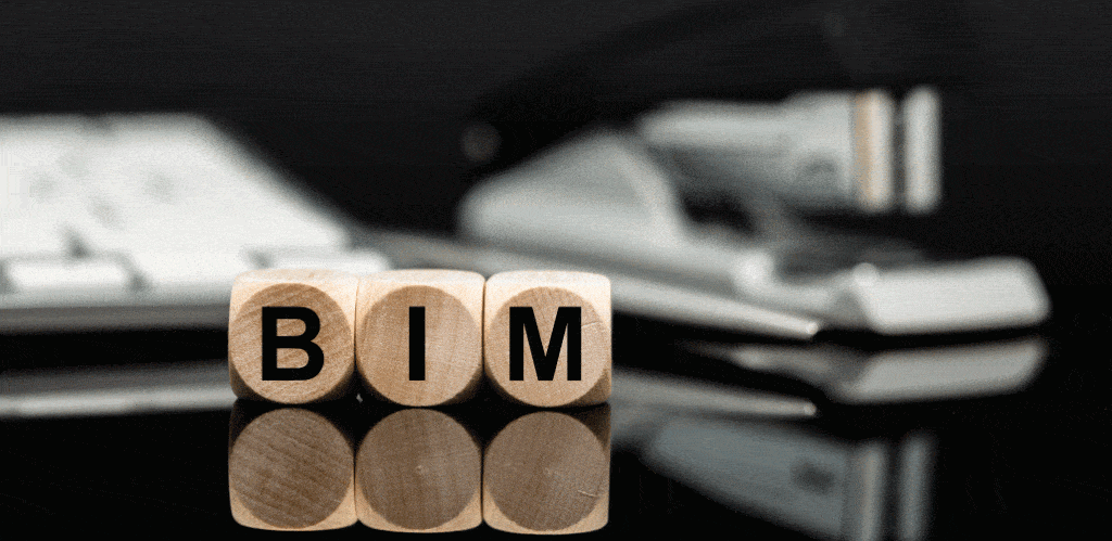 imagen-cubos-bim