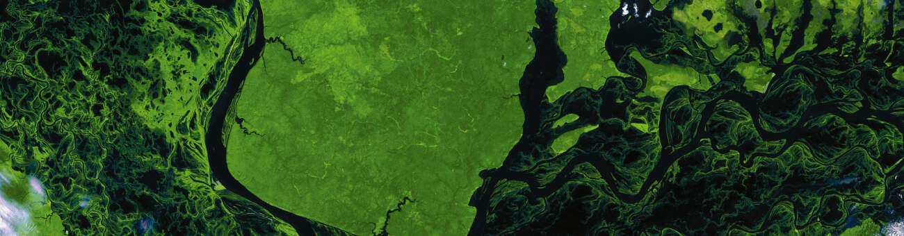 SPC-CURSO-TELEDETECCION-FORESTAL-1300-340 Curso teledetección forestal