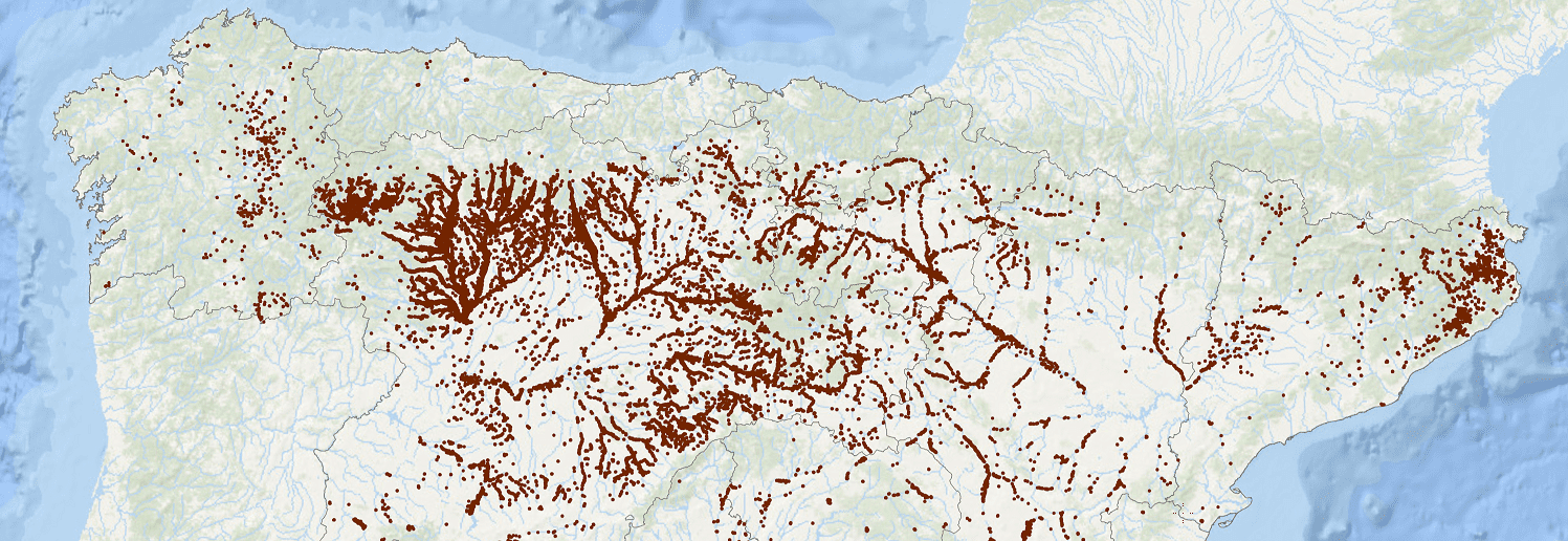 Miteco mapa forestal español 1.jpg 1 - Paint Miteco mapa forestal español 1.jpg 1 - Paint