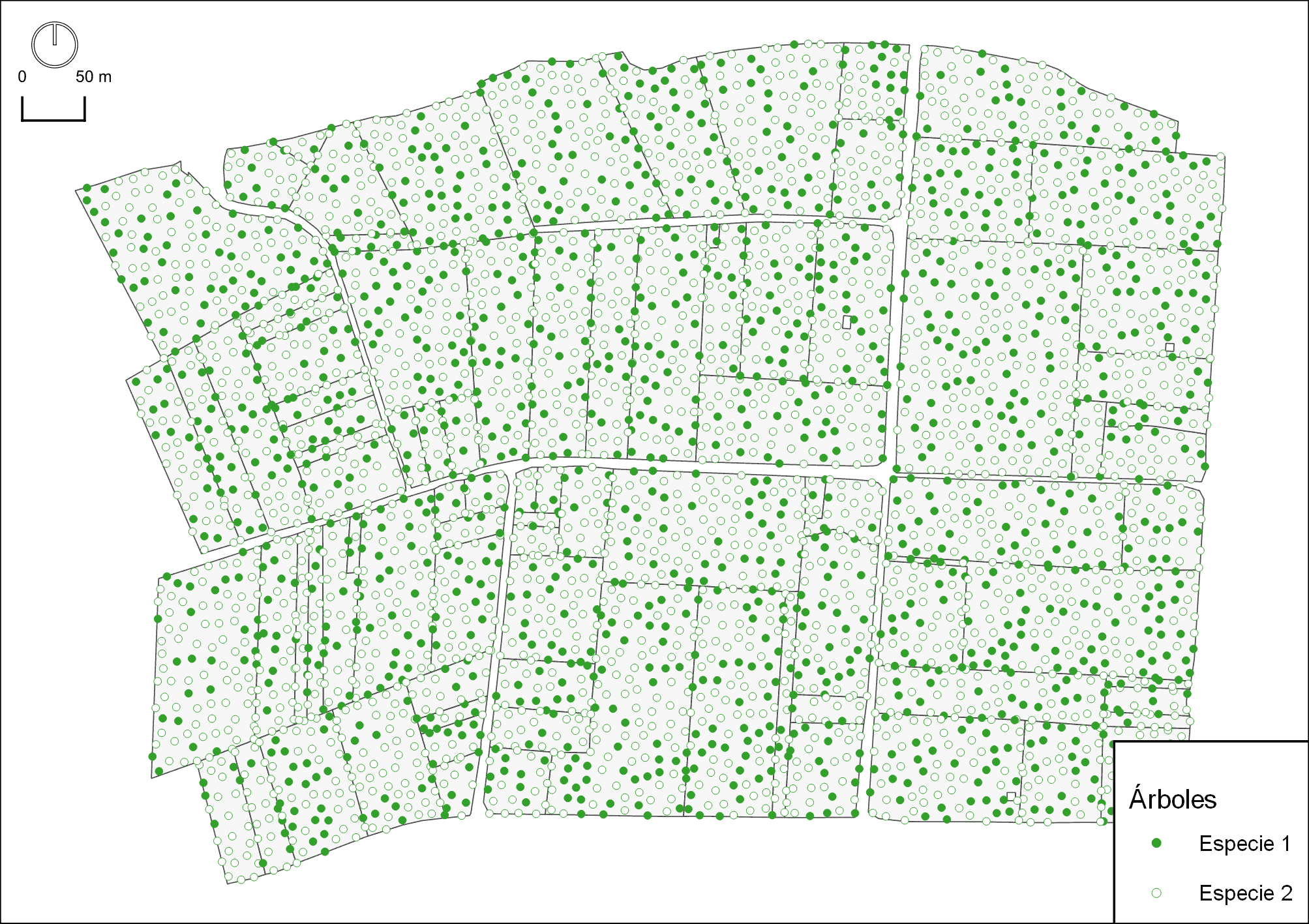 Árboles candidatos para clareo forestal 1 Árboles candidatos para clareo forestal 1
