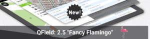 QField 2.5 Fancy Flamingo, novedades 2 QField 2.5 Fancy Flamingo, novedades 2
