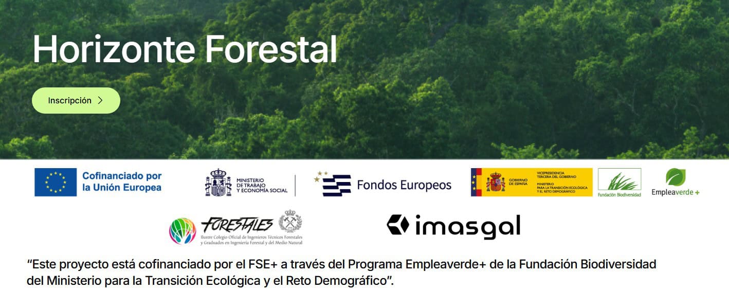 Horizonte Forestal