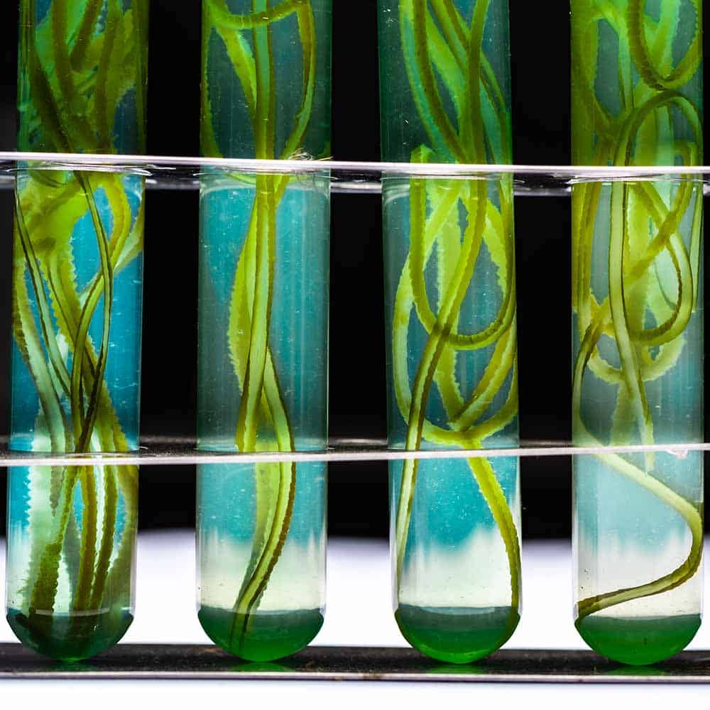 5 usos innovadores del CO2 como recurso