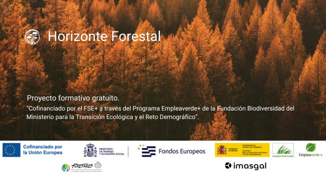 Horizonte Forestal