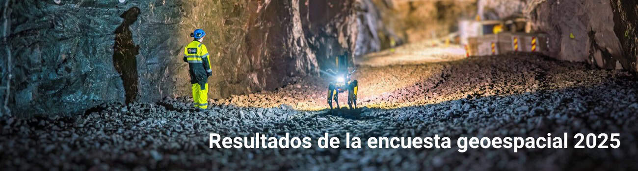 Resultados de la encuesta geoespacial 2025
