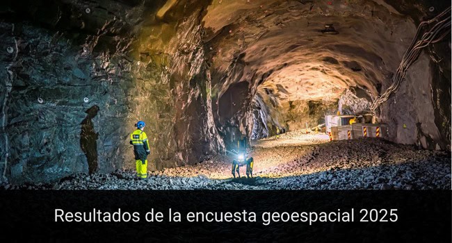 Resultados de la encuesta geoespacial 2025