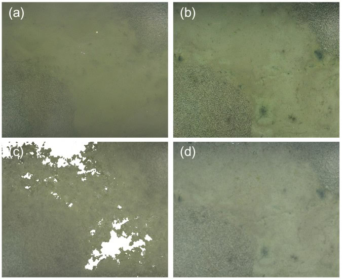 Fotogrametría con UAV para el mapeo de aguas poco profundas Fotogrametría con UAV para el mapeo de aguas poco profundas